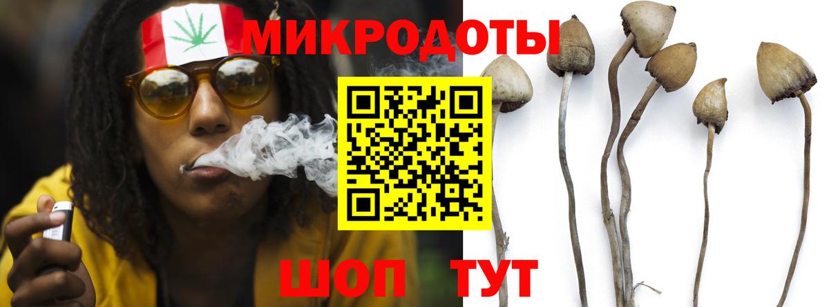 Галлюциногенные грибы мухоморы  Вход с VPN  Галлюциногенные грибы Magic Shrooms  Жуковский 
